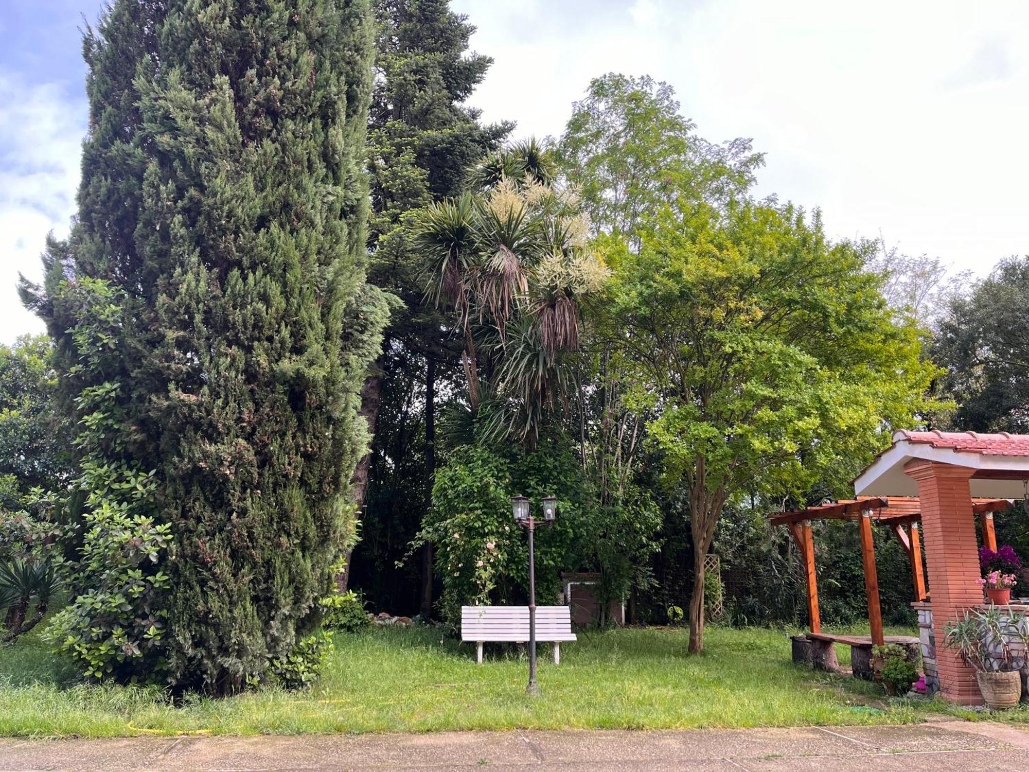 Nel Giardino Segreto Monolocale Con Angolo Gazebo San Giorgio a Liri Exterior foto